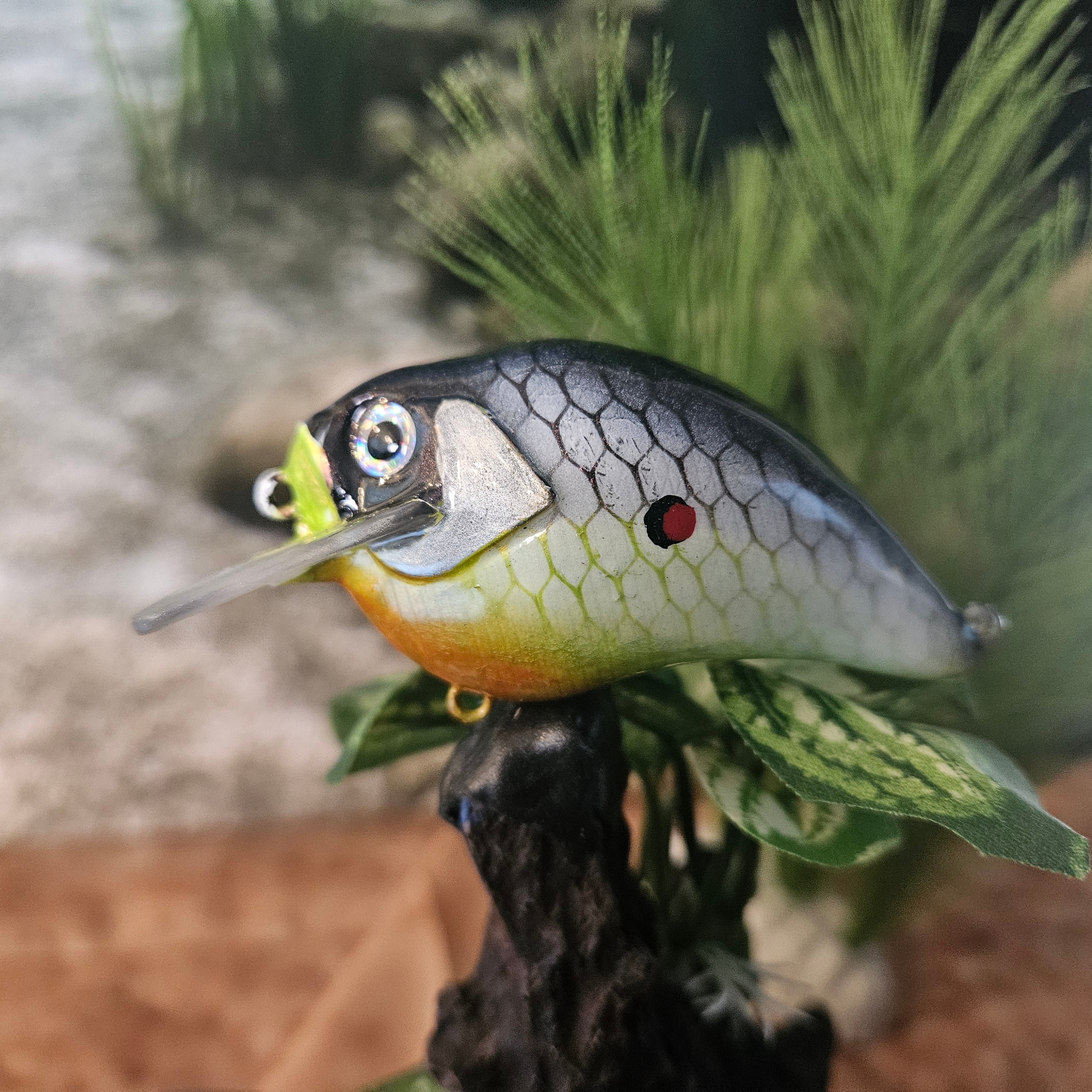 Crankbaits
