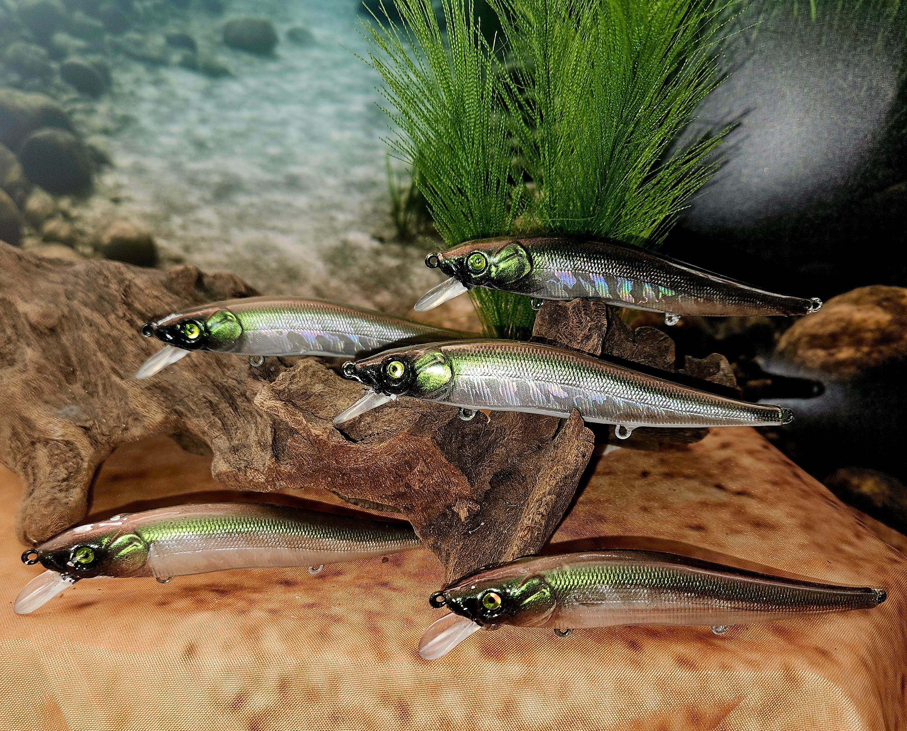 Jerk Baits and Minnows