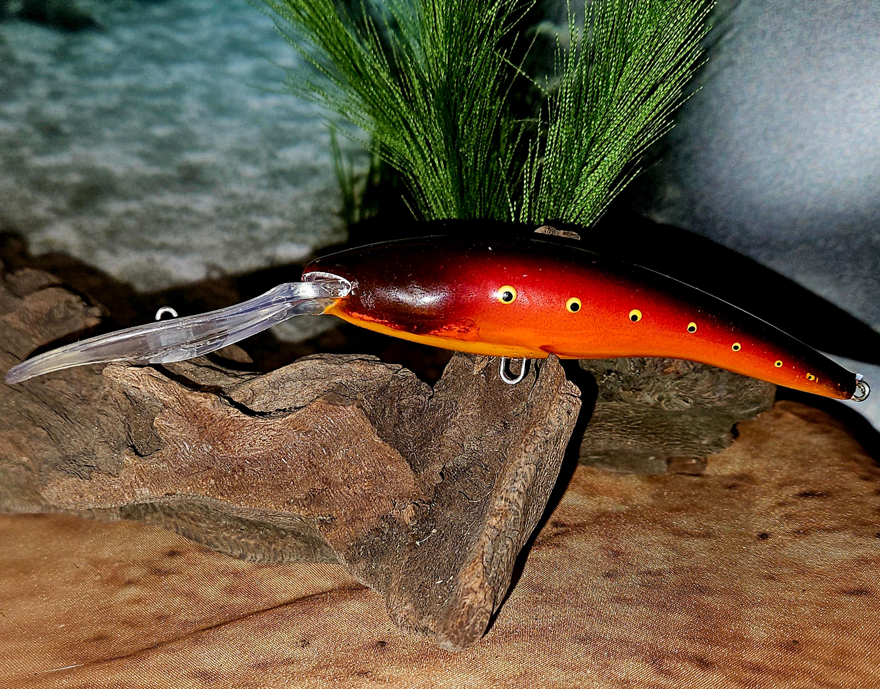 Jerk Baits and Minnows