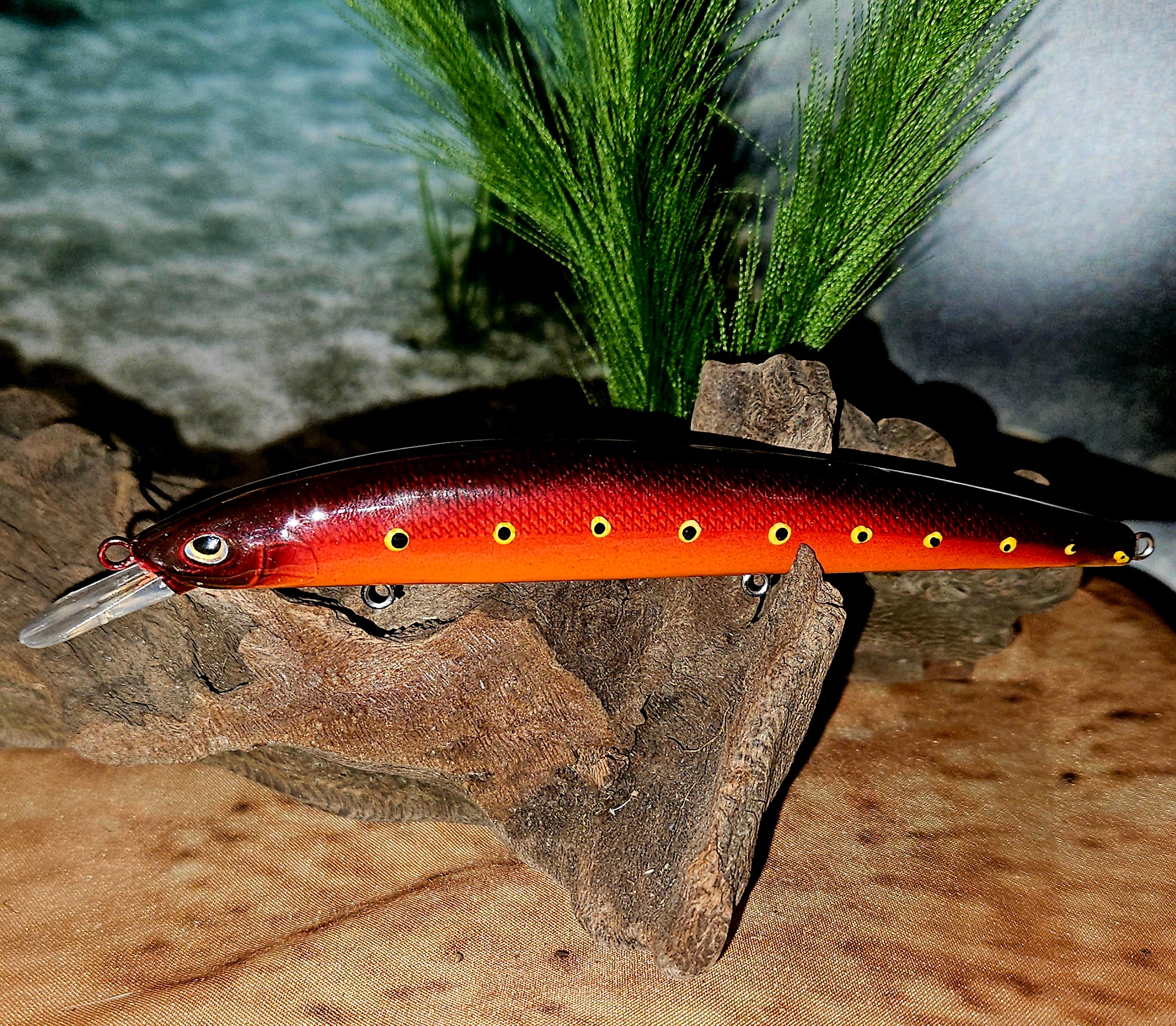 Jerk Baits and Minnows