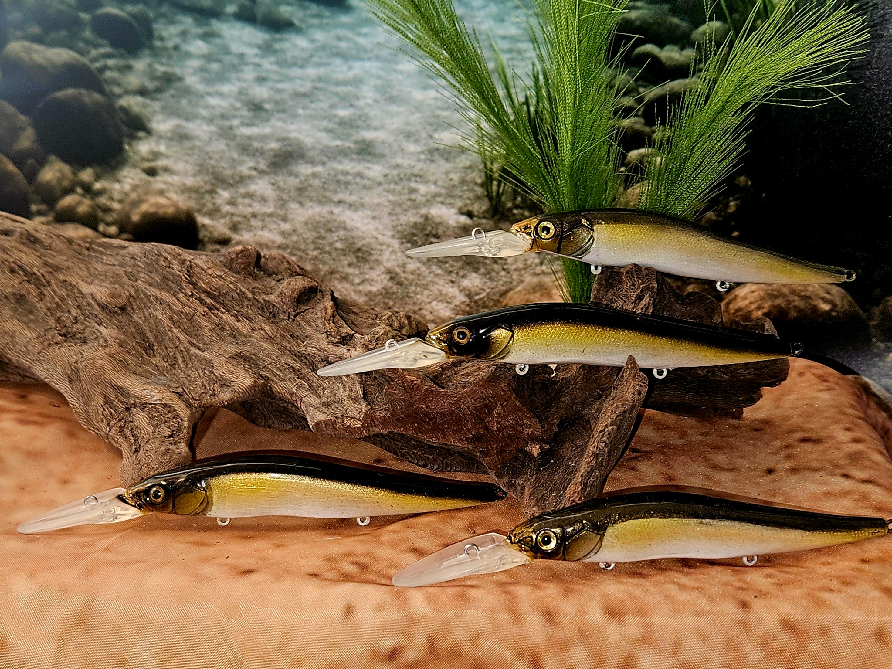 Jerk Baits and Minnows