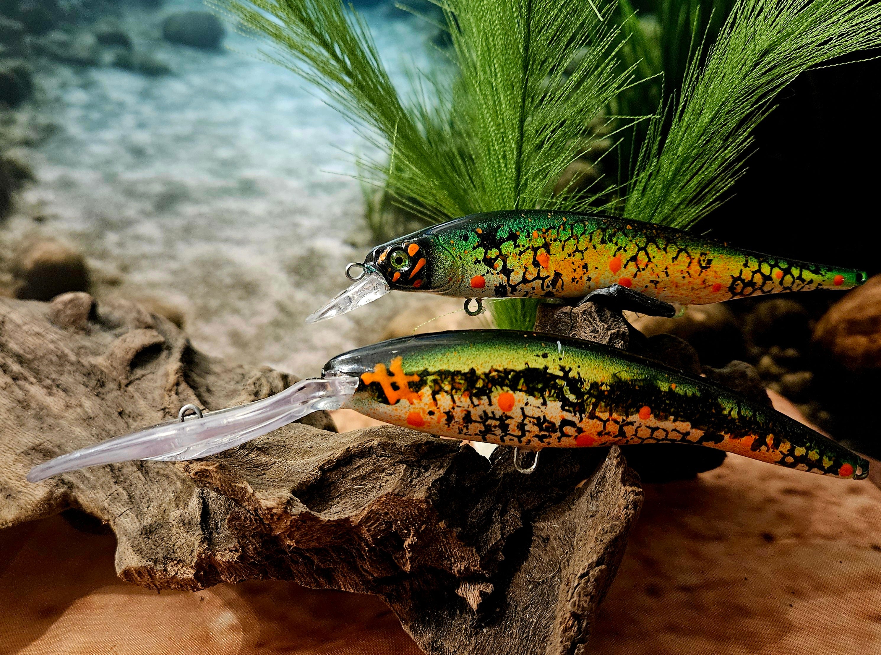 Jerk Baits and Minnows