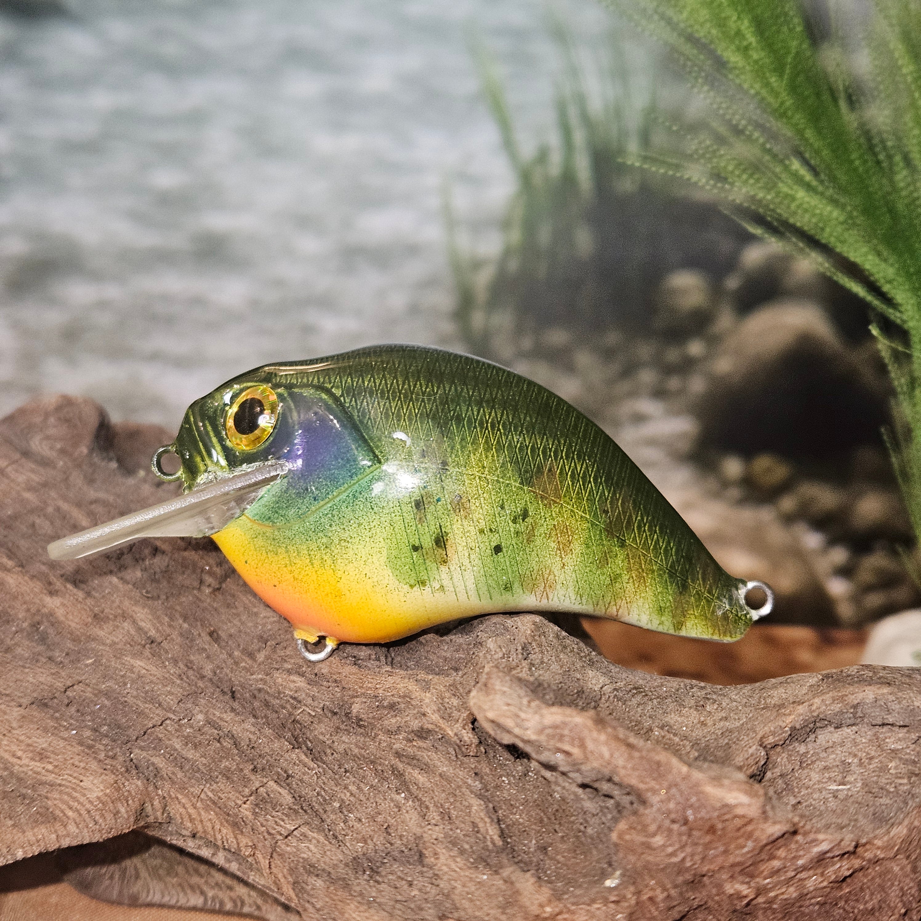 Crankbaits