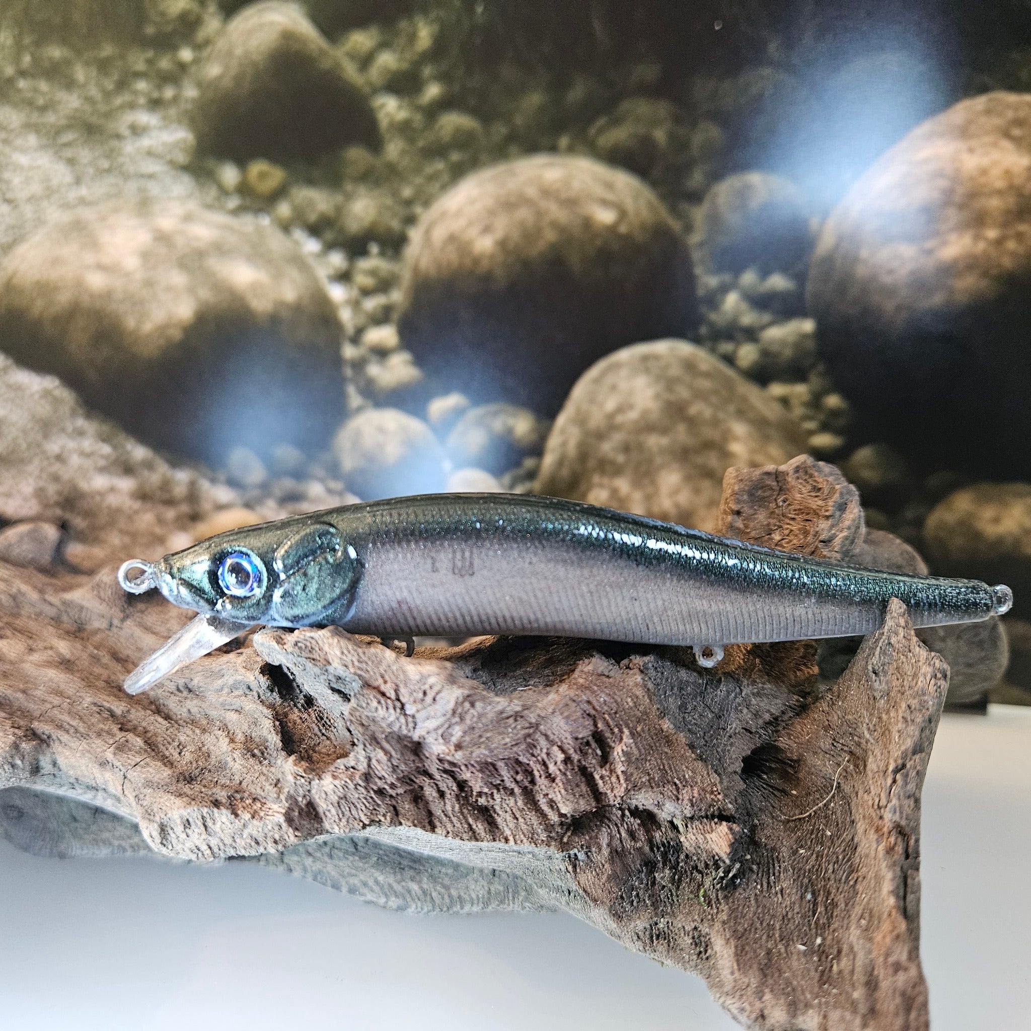 Jerk Baits and Minnows