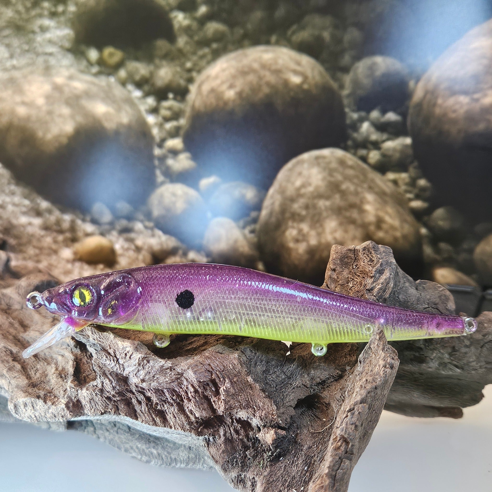 Jerk Baits and Minnows