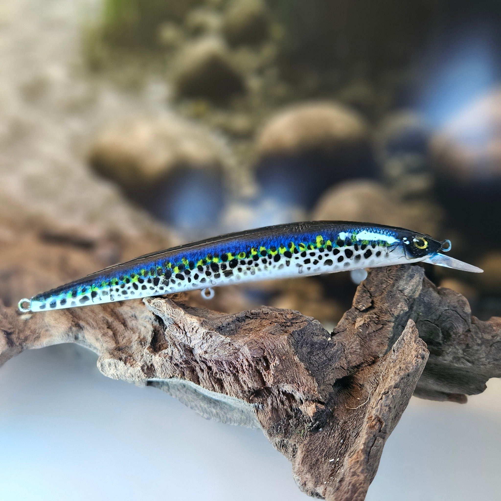 Jerk Baits and Minnows