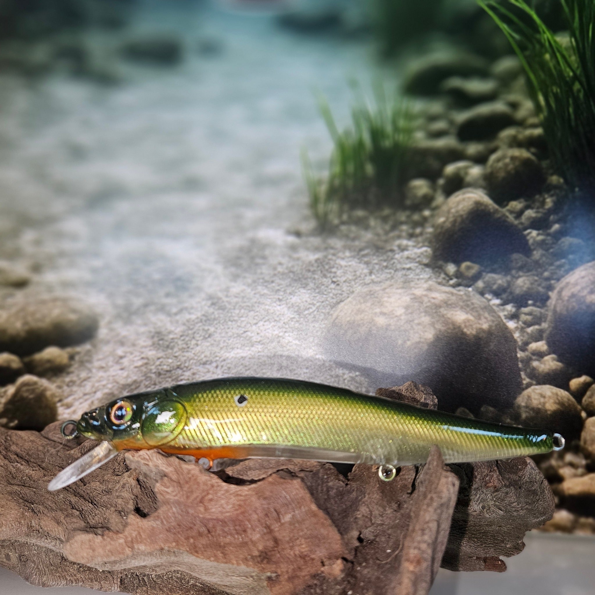 Jerk Baits and Minnows