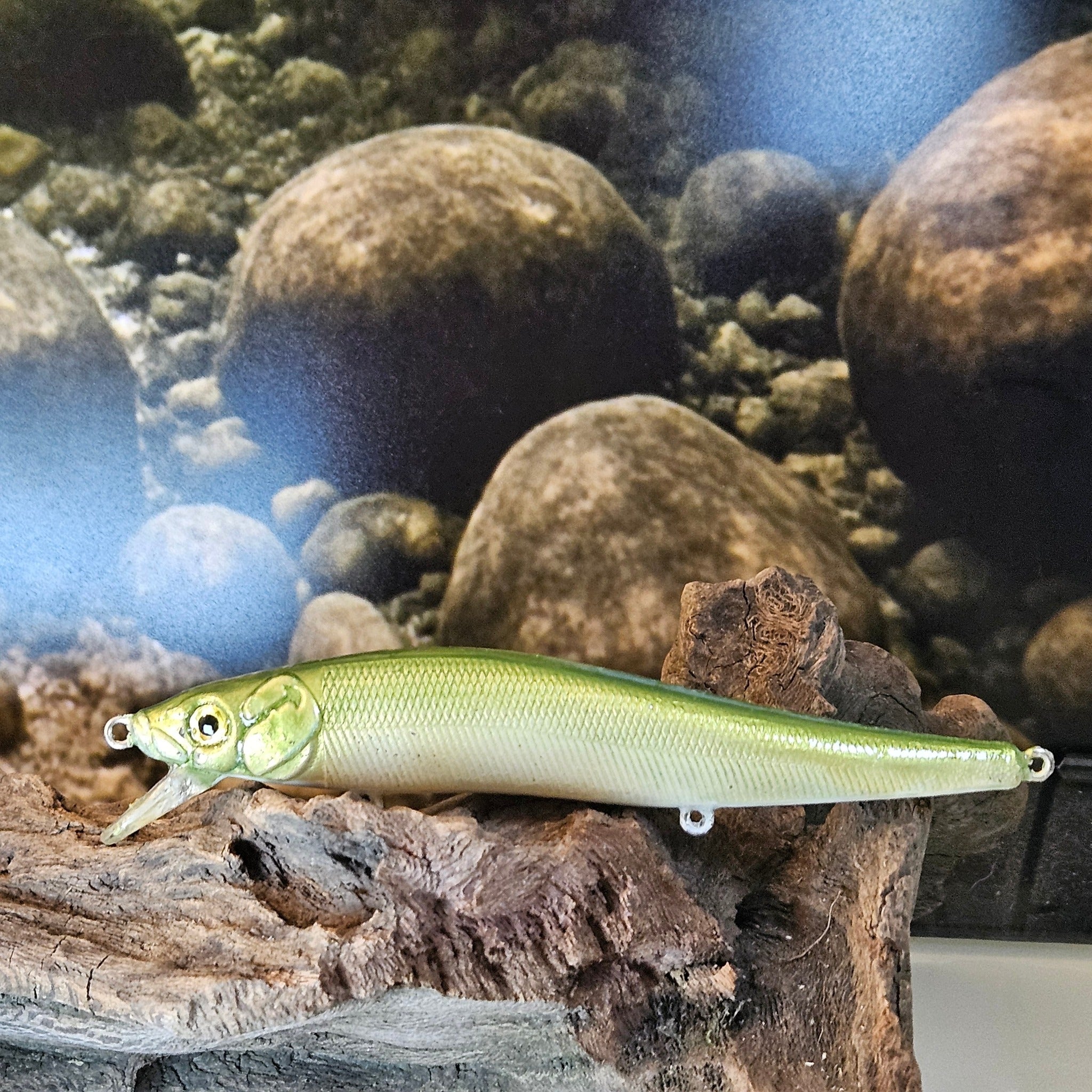 Jerk Baits and Minnows