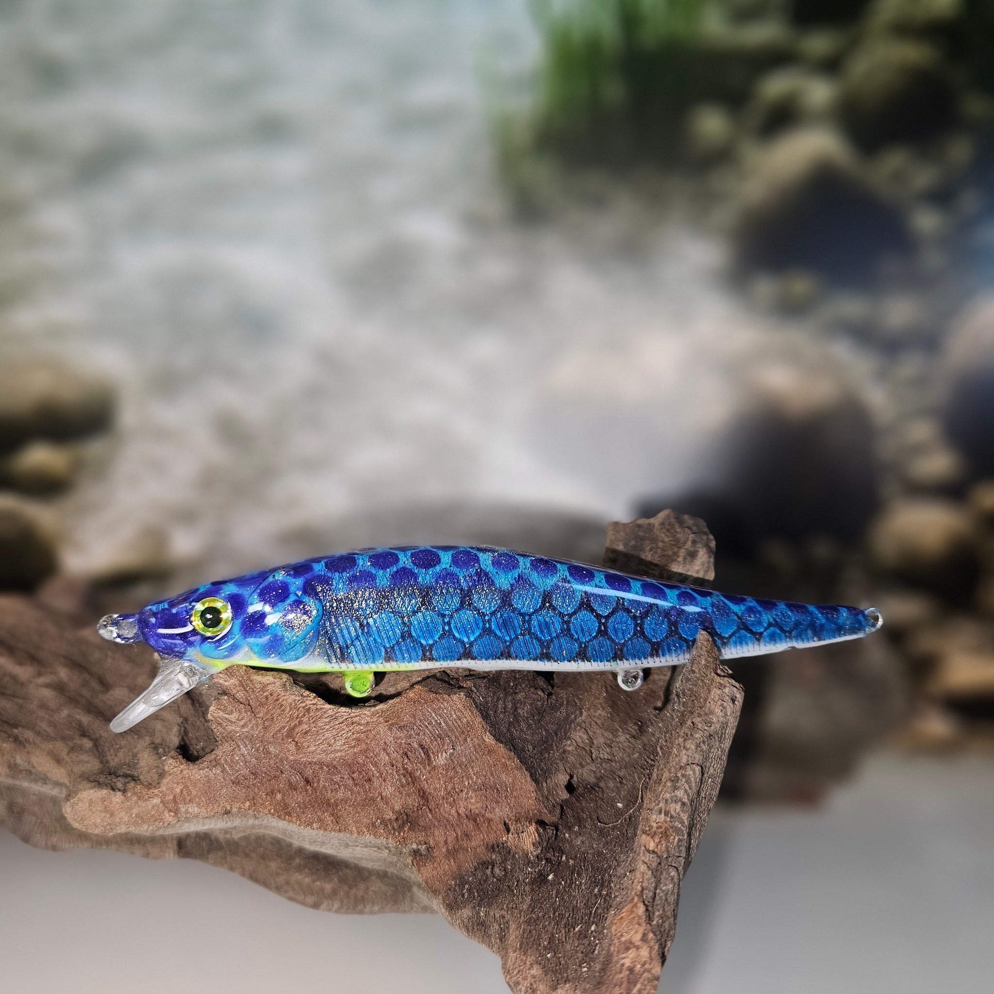 Jerk Baits and Minnows