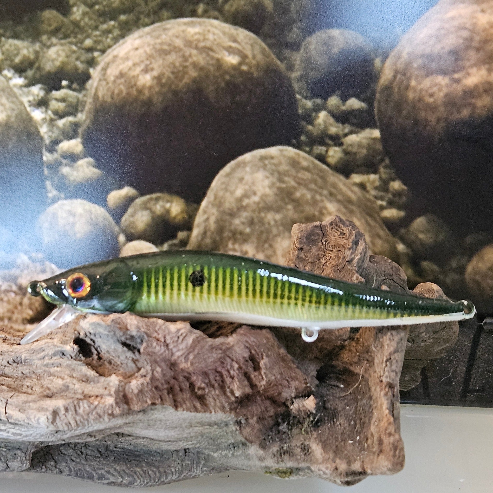 Jerk Baits and Minnows