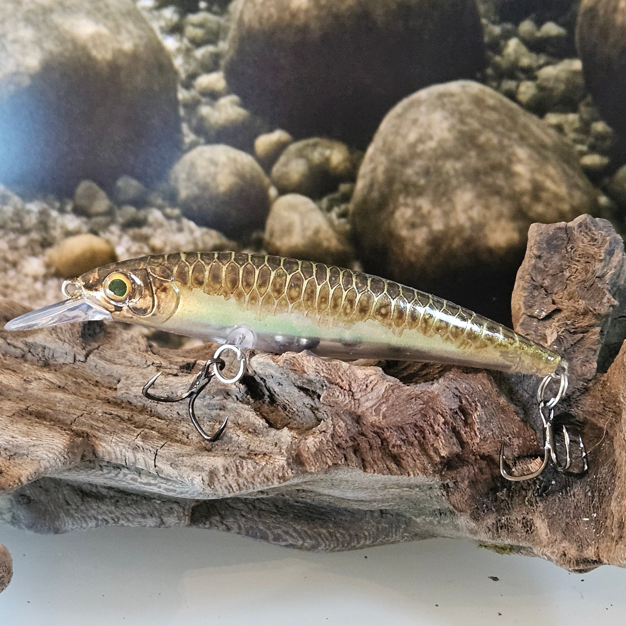 Jerk Baits and Minnows