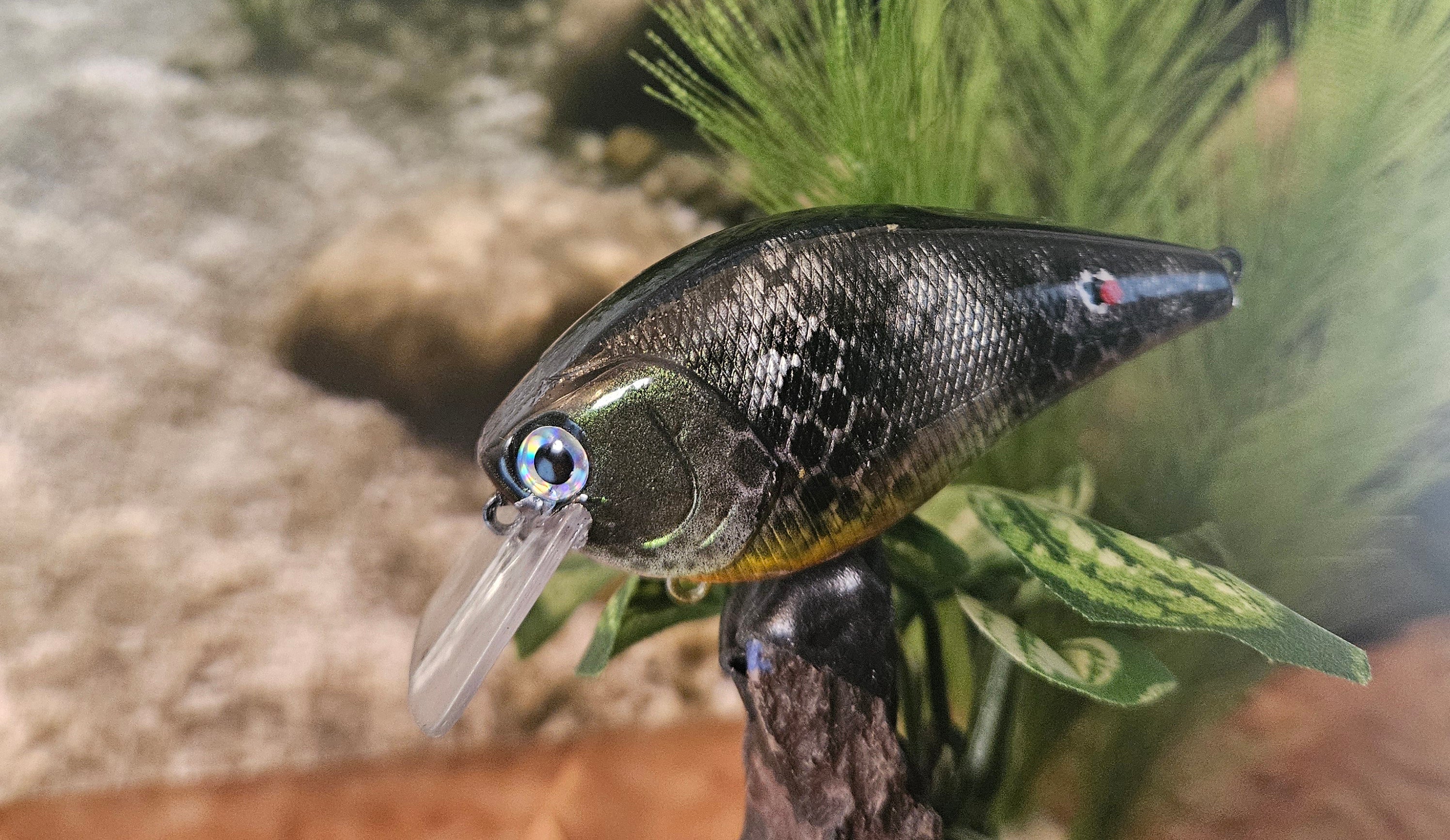 Crankbaits